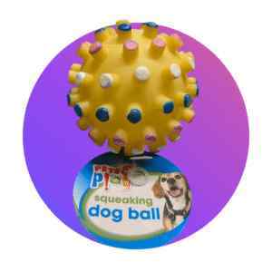 Squeaky Dog Ball