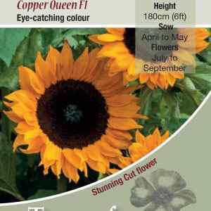 Copper Queen F1