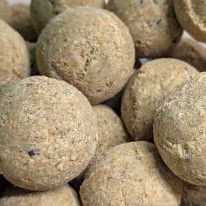 High Energy Fat Balls