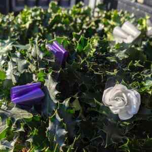 Holly Wreaths