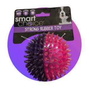 Smart Choice Rubber Toy
